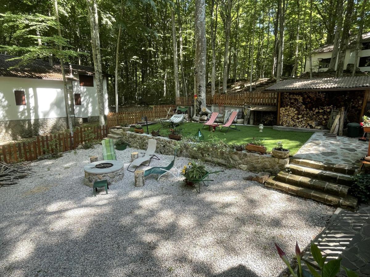 Apartament Chalet I Folletti Abbadia San Salvator Zewnętrze zdjęcie