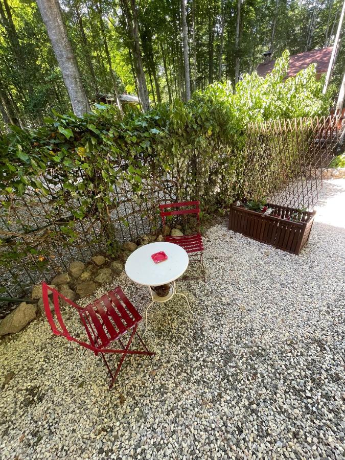 Apartament Chalet I Folletti Abbadia San Salvator Zewnętrze zdjęcie