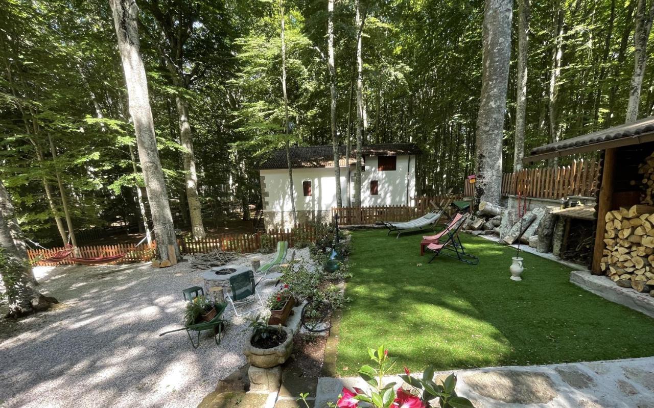 Apartament Chalet I Folletti Abbadia San Salvator Zewnętrze zdjęcie