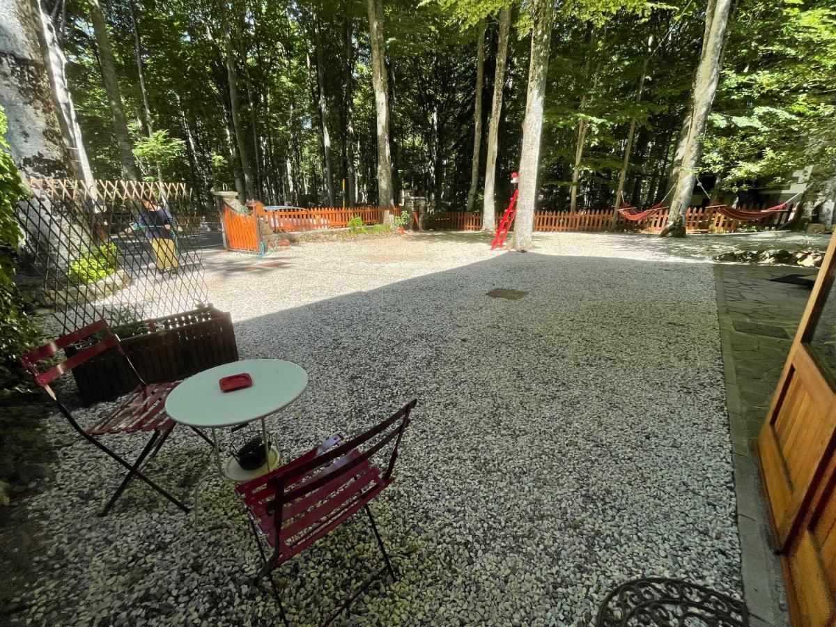 Apartament Chalet I Folletti Abbadia San Salvator Zewnętrze zdjęcie
