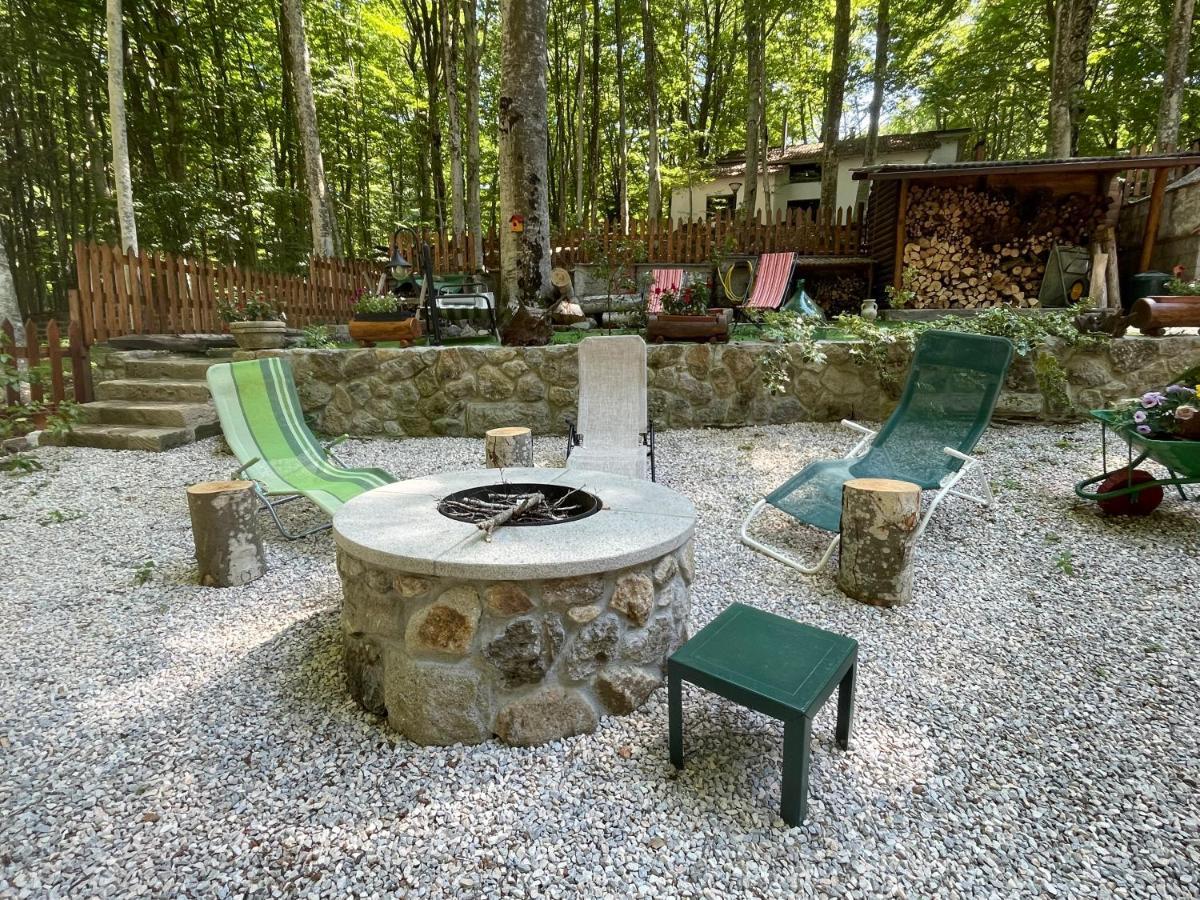 Apartament Chalet I Folletti Abbadia San Salvator Zewnętrze zdjęcie